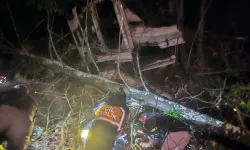 Tomruk yüklü tır uçuruma yuvarlandı