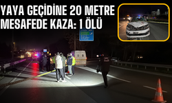 Yaya geçidine 20 metre mesafede kaza: 1 ölü