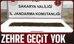 Şehirde zehre geçit yok