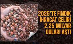 2025’te Fındık İhracat Geliri 2,25 Milyar Doları Aştı