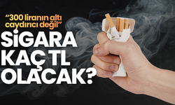 “Türkiye ekonomisine yıllık maliyeti 24 milyar dolar”