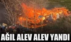 Ağıl alev alev yandı