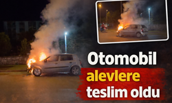 Otomobil alevlere teslim oldu