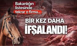 Bir kez daha ifşalandı! Bakanlığın listesinde yine aynı isim