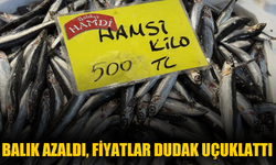 Balık Azaldı, Fiyatlar Dudak Uçuklattı
