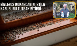 Binlerce kokarcanın istila kabusunu TUTSAK bitirdi