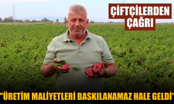 Artan Maliyetler Çiftçiyi Üretimden Uzaklaştırıyor