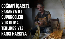 Coğrafi işaretli Sakarya ot süpürgeleri yok olma tehlikesiyle karşı karşıya