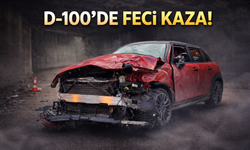 D-100'de feci kaza: Direksiyon hakimiyetini kaybetti