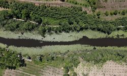 Doğanın Kalbi Sakarya’da Attı: İki Yeşil Noktaya 605 Bin Ziyaretçi