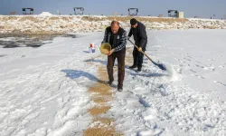 Ekipler kuşlar için doğaya yem bırakıldı