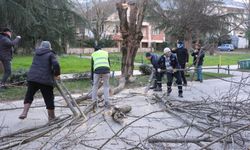 Sapanca Belediyesi Şiddetli Rüzgâr ve Fırtınada Sahadaydı