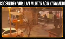 Sapanca’da Silahlı Kavga: Mahalle Muhtarı Ağır Yaralandı