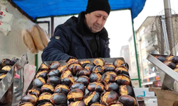 Seyyar Satıcı ve İlaçlama Firmalarına Yakın Takip