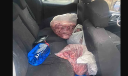 Devrek’te Yol Kontrolünde 450 Kilogram Bozuk Et Ele Geçirildi