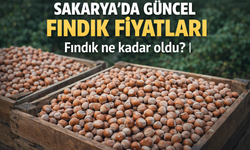 Sakarya’da Güncel Fındık Fiyatları (30 Ocak 2026)