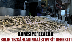 Balık Tezgâhlarında İstavrit Bereketi: Hamsiye Ara, İstavrite Yoğun İlgi