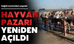 Şap Hastalığı Nedeniyle Kapatılan Hayvan Pazarı Yeniden Açıldı