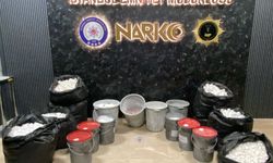 İstanbul'da düzenlenen uyuşturucu operasyonunda 3 zanlı yakalandı