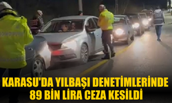 Karasu'da yılbaşı denetimlerinde 89 bin lira ceza kesildi