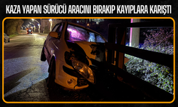 Kaza Yapan Sürücü Aracını Bırakıp Kayıplara Karıştı