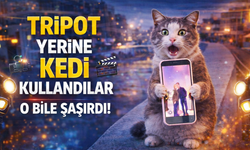 Kedi bile şaşırdı! Tripod gibi kullandılar...