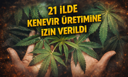 21 İlde Kenevir Üretimine İzin Verildi