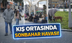 Sakarya’da kış ortasında sonbahar havası