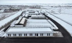 Kocasinan’dan Sokak Hayvanlarına Örnek Proje