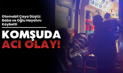 Otomobil Çaya Düştü: Baba ve Oğlu Hayatını Kaybetti