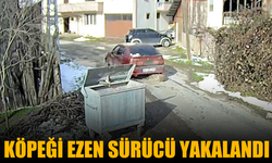 Köpeği ezen sürücü yakalandı