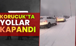 Korucuk yolu kar sebebiyle kapandı!