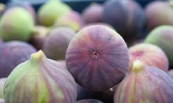 Bursa Siyah İncirinde Rekor İhracat Geliri: 70,3 Milyon Dolar