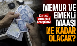 Emekli ve Memur Zammı kuruşu kurşuna hesaplandı!
