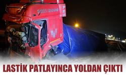 Lastik patlayınca yoldan çıktı