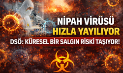 DSÖ’den Nipah Virüsü İçin Acil Araştırma Çağrısı! Ölüm Oranı Yüzde 75’e Kadar Çıkıyor
