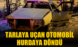 Tarlaya uçan otomobil hurdaya döndü