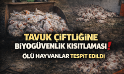 Mevzuata Aykırı Tavuk Çiftliğine Ceza: Biyogüvenlik Kısıtlaması Getirildi