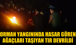 Orman yangınında hasar gören ağaçları taşıyan tır devrildi