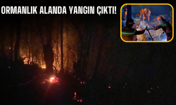 Ormanlık Alanda Yangın Çıktı!