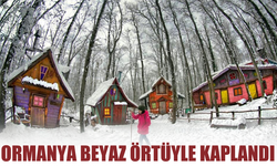 Ormanya beyaz örtüyle kaplandı