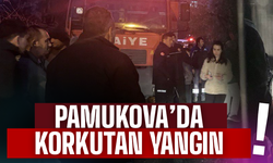 Pamukova’da ev yangını korkuttu: Yaşlı kadın son anda kurtuldu