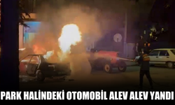 Park halindeki otomobil alev alev yandı