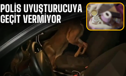 Uyuşturucu Operasyonunda 7 Şüpheli Gözaltına Alındı