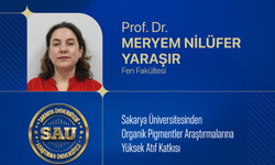 Sakarya Üniversitesinden Organik Pigment Araştırmalarına Yüksek Atıf
