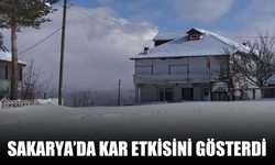 Sakarya'da lapa lapa kar yağdı!