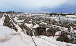 TARSİM 2026’da Teminat Altına Alınacak Ürün ve Riskleri Açıkladı