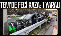 TEM'de feci kaza: 1 yaralı