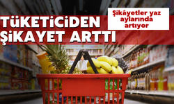 Alo 175’e başvurular artıyor