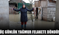 Karasu’da Sakarya Nehri Taştı, Evler Sular Altında Kaldı: “70 Yıldır Böyle Bir Şey Görmedik”